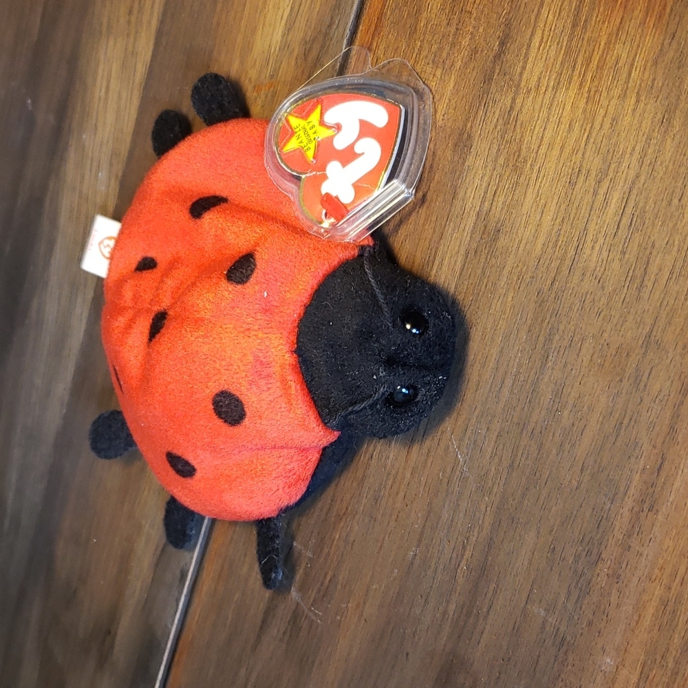 LUCKY the Ladybug NWT Ty Beanie Baby